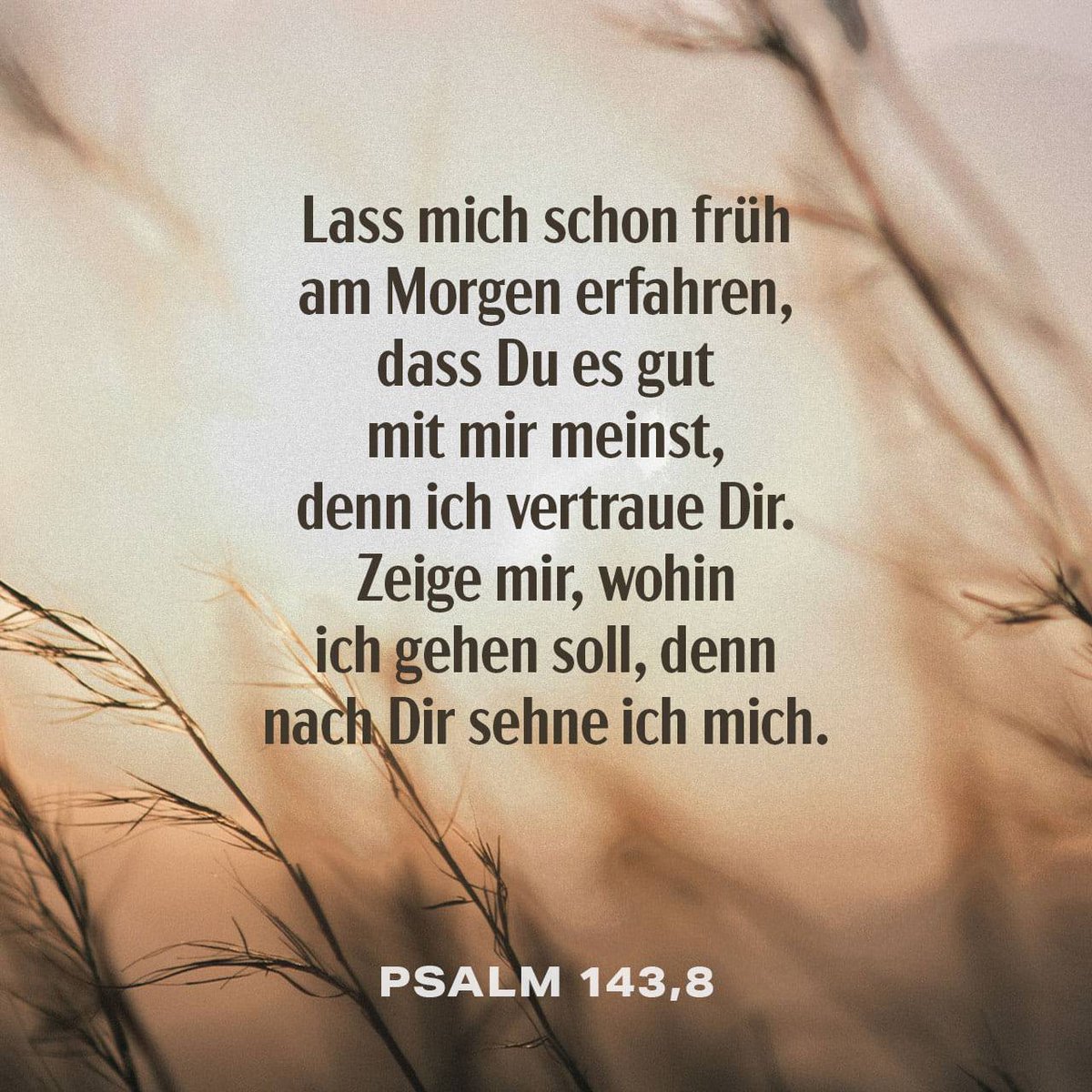 bible.com/verse-of-the-d…