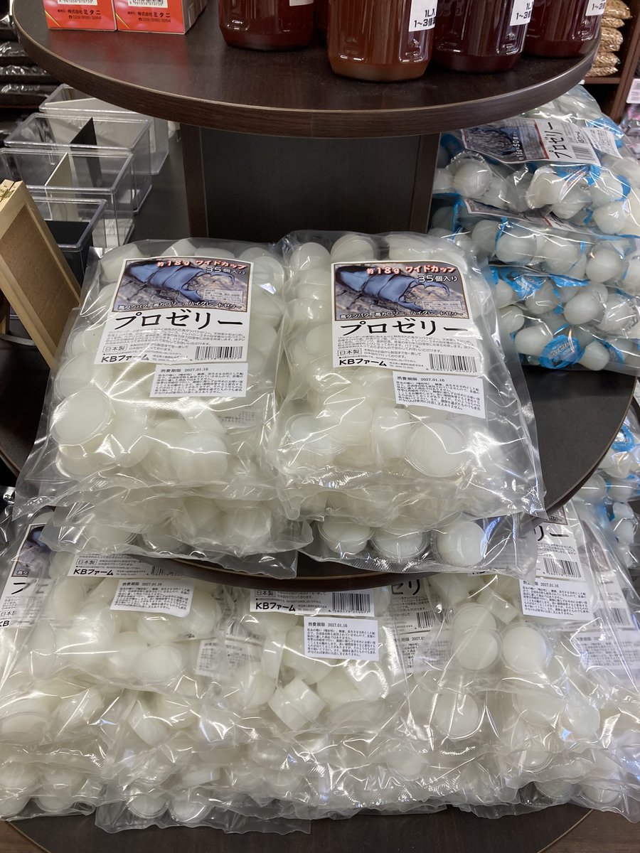 入荷情報@インセクトファミリー tweet media