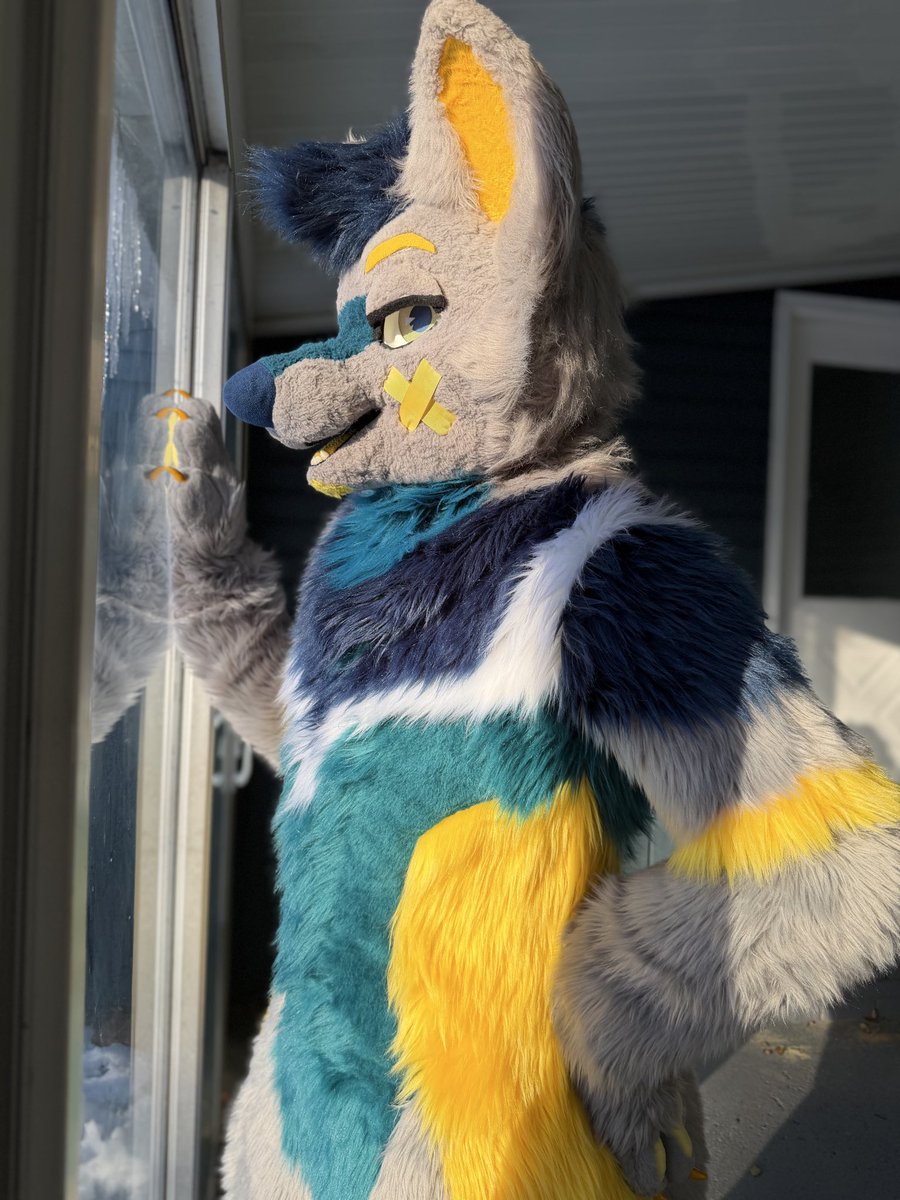 Stitches 🔜 AO tweet media