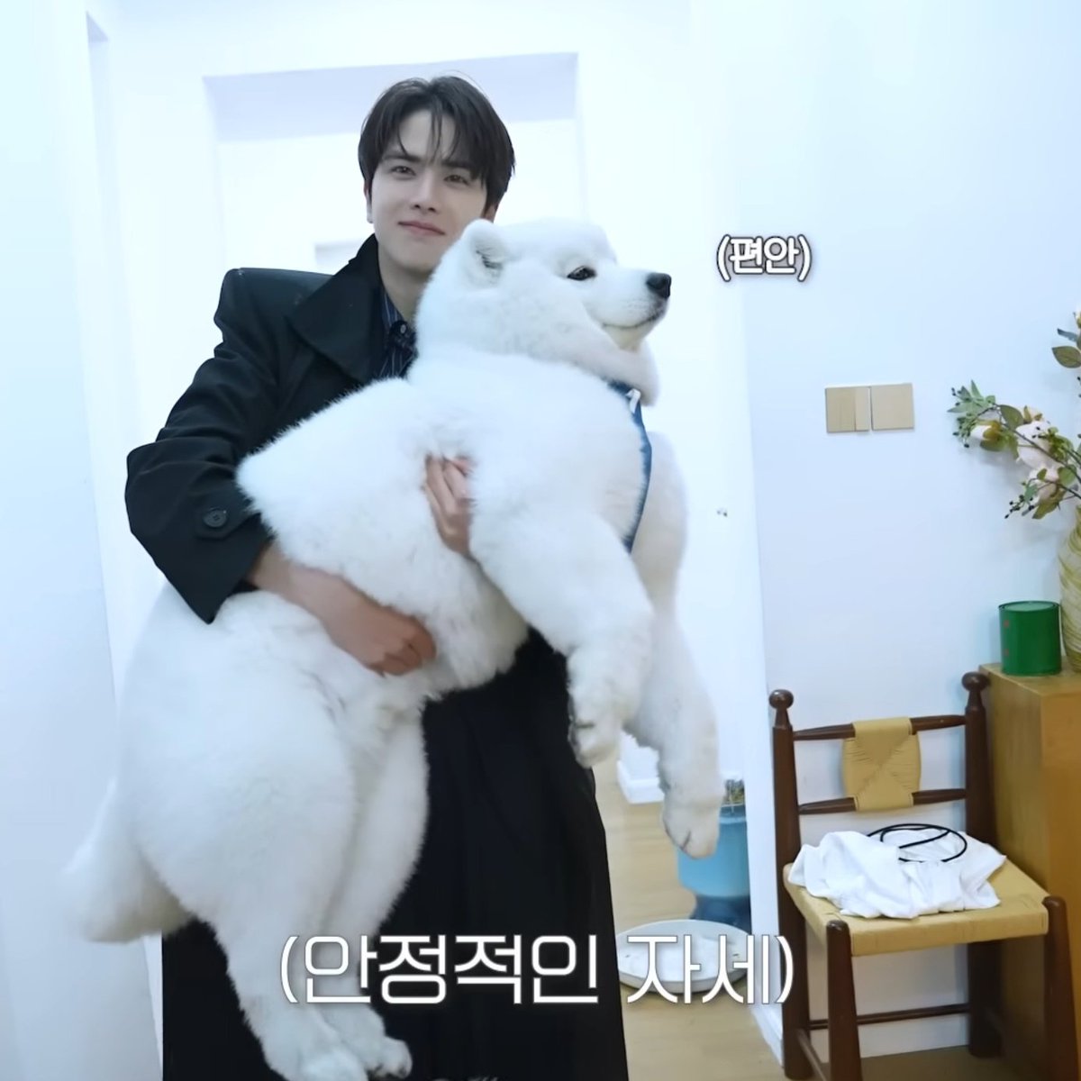 아 강아지가 183cm (추정) 영훈만함