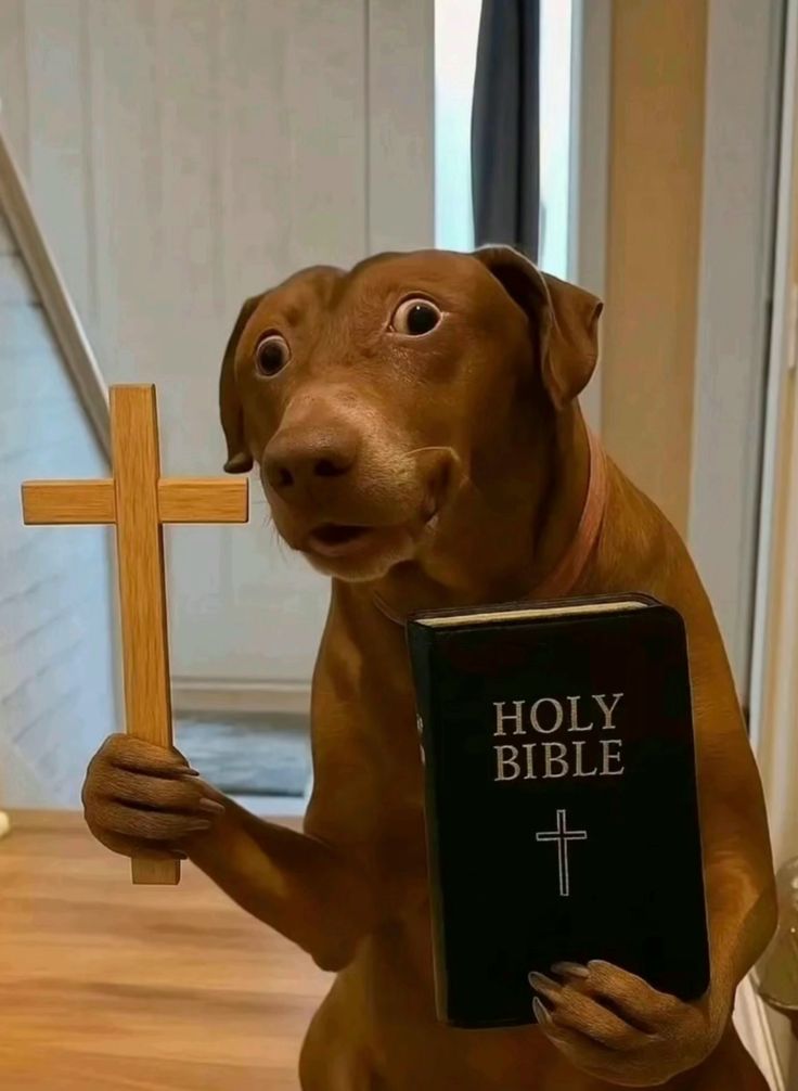 Who said I don't like following back?