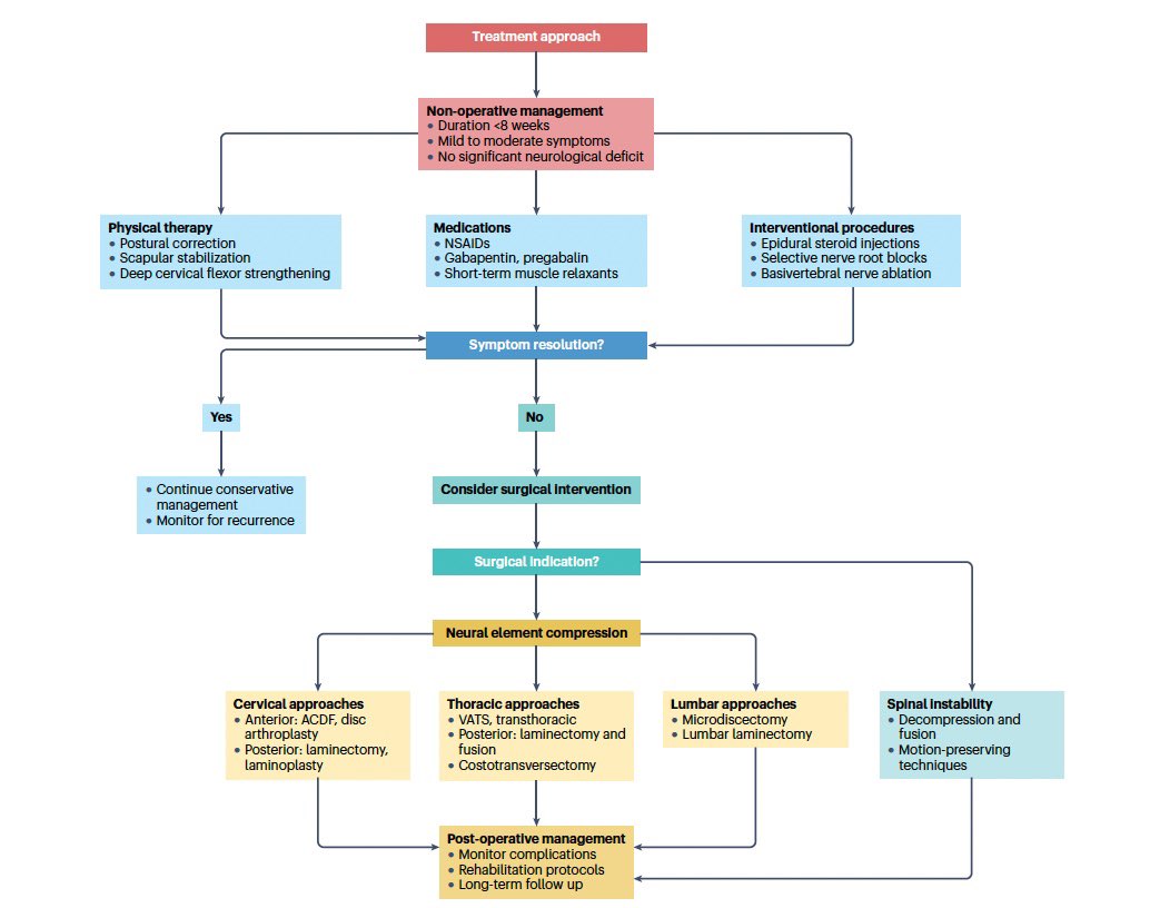 FisioWebinar tweet media
