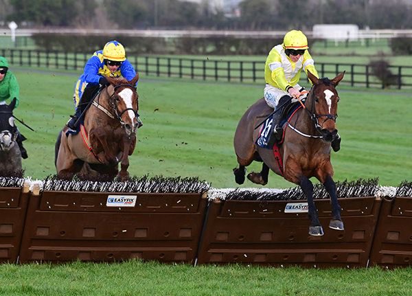 Nose In Front tweet media