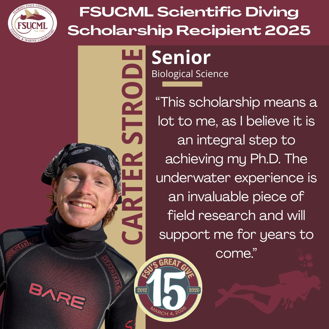 FSU Coastal & Marine Lab tweet media