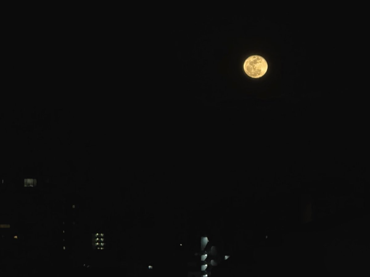 Luna__chain's tweet photo. うまくいかねぇって思いながら月を見る日もあるよな🐻‍❄️💭 https://t.co/IM5B0RzzMF