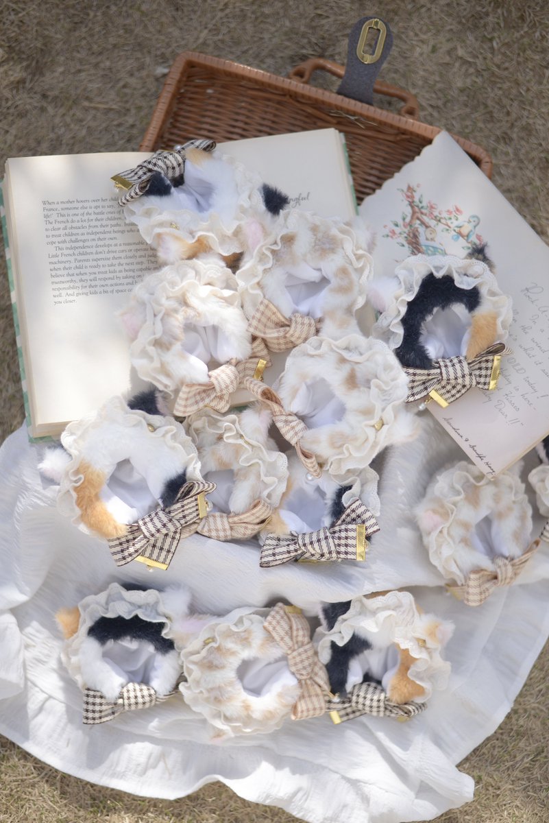 いさちゃん🩰 西1く-34 tweet media