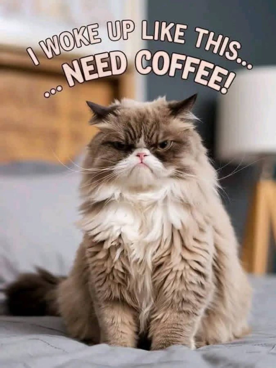 🧡🤎The Browns and Coffee ☕️☕️ tweet media