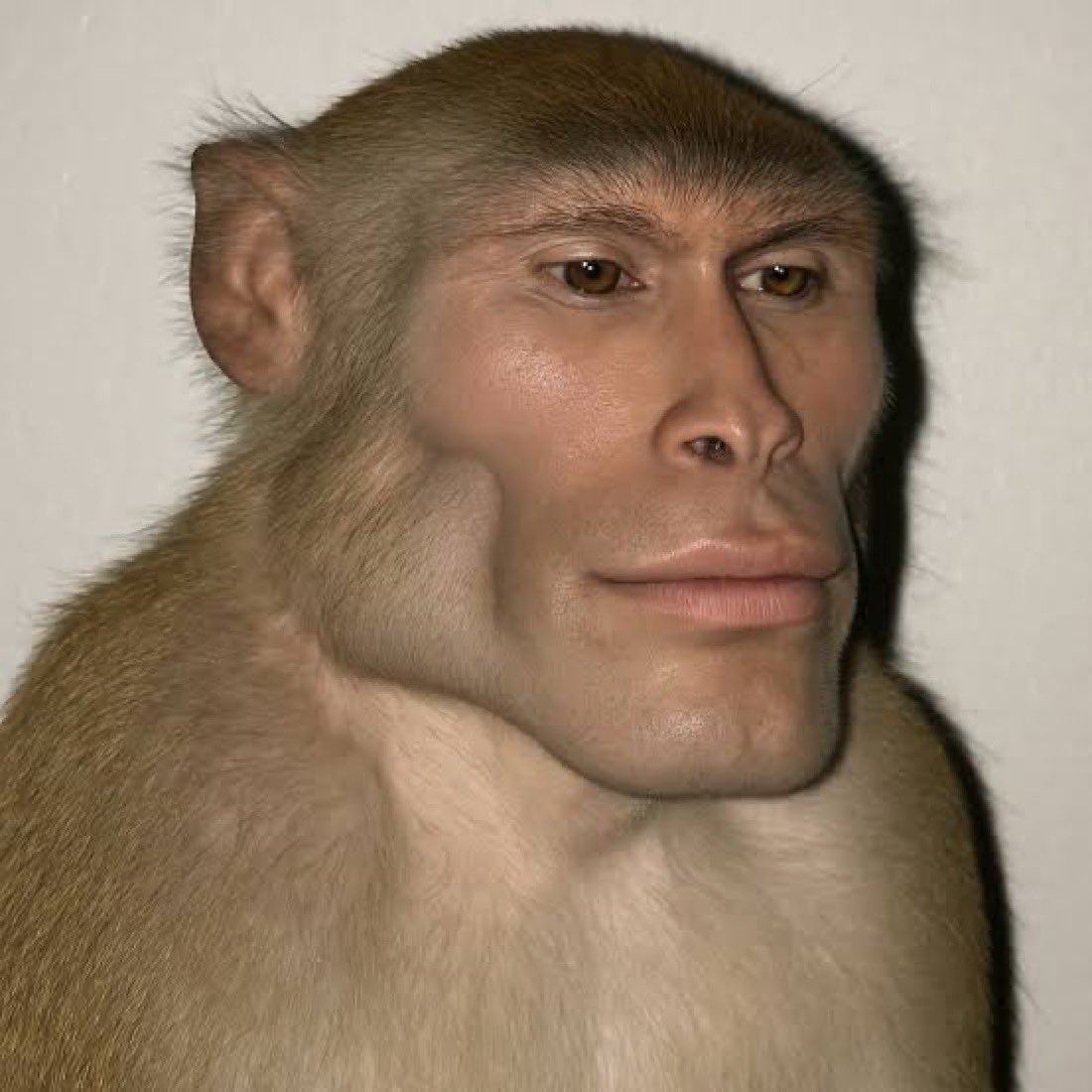 Bedsitter.                               Studio Apartment