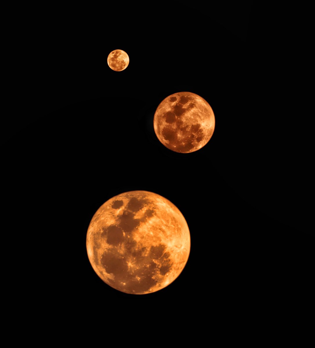 Manvendra Powar tweet media