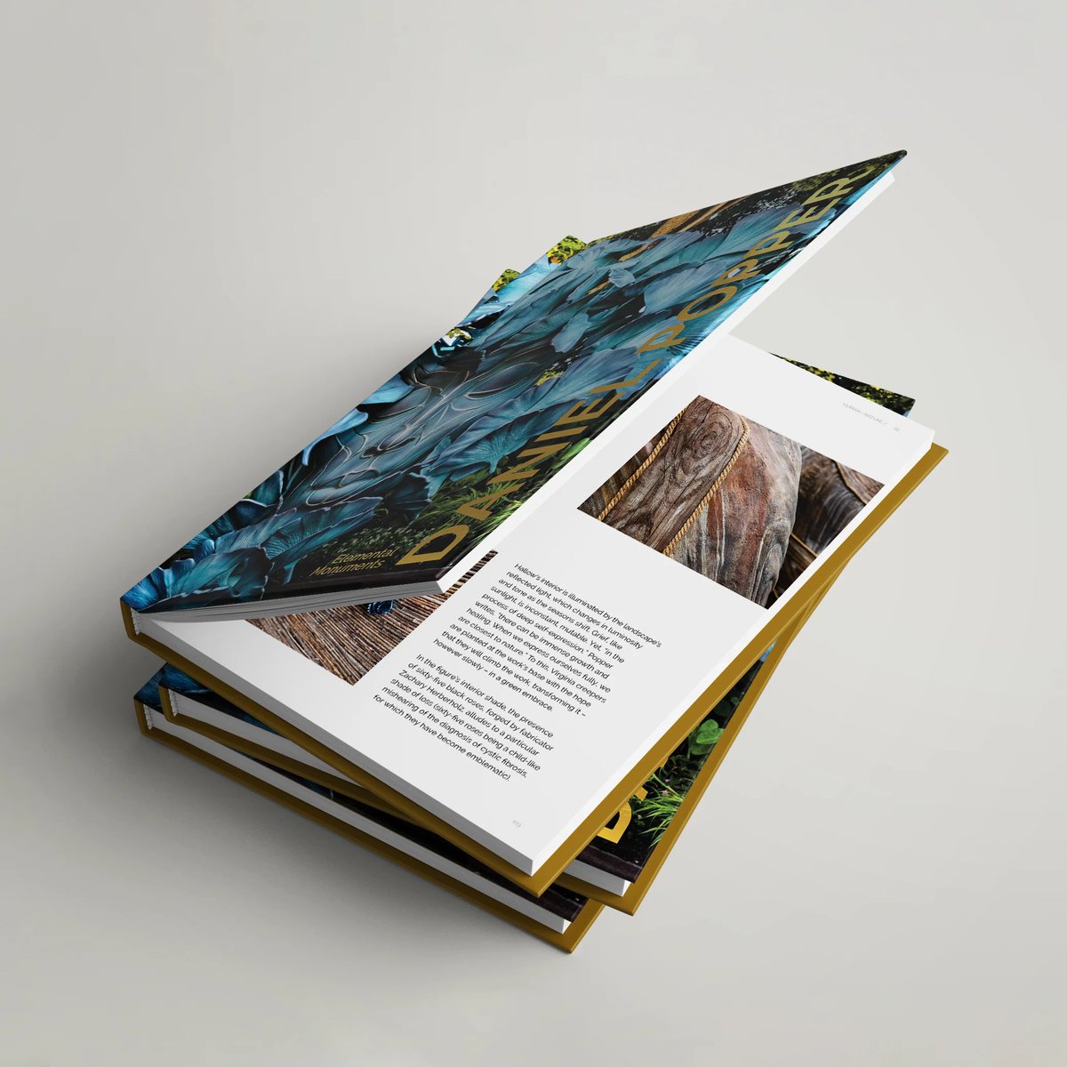 Daniel Popper tweet media