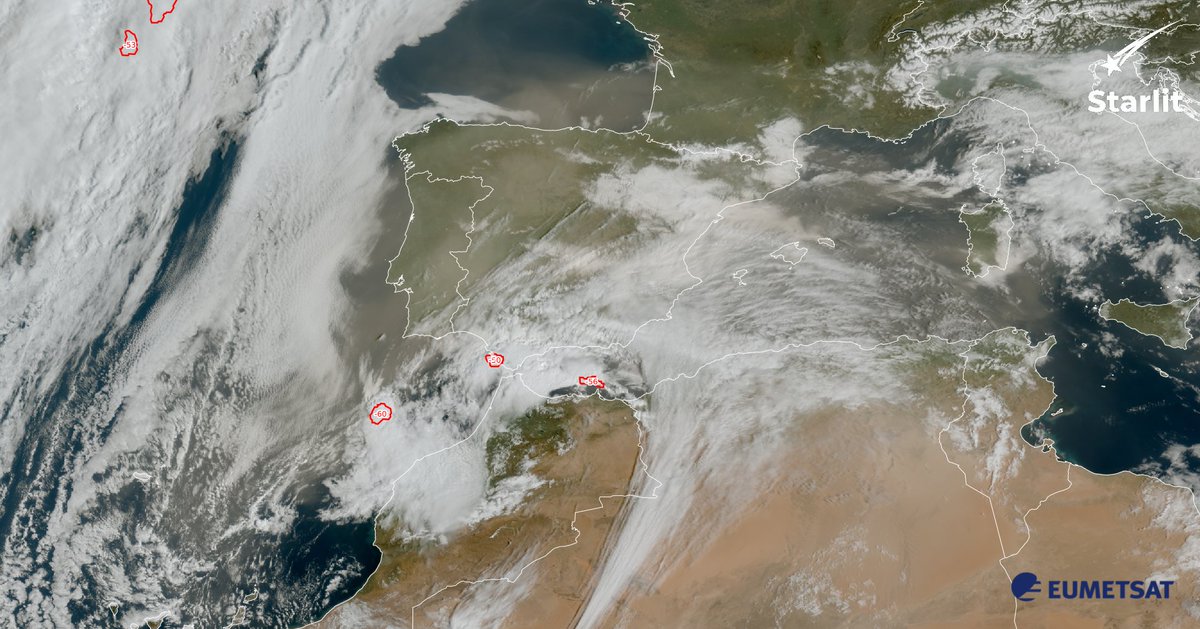 Proyecto Starlit tweet media