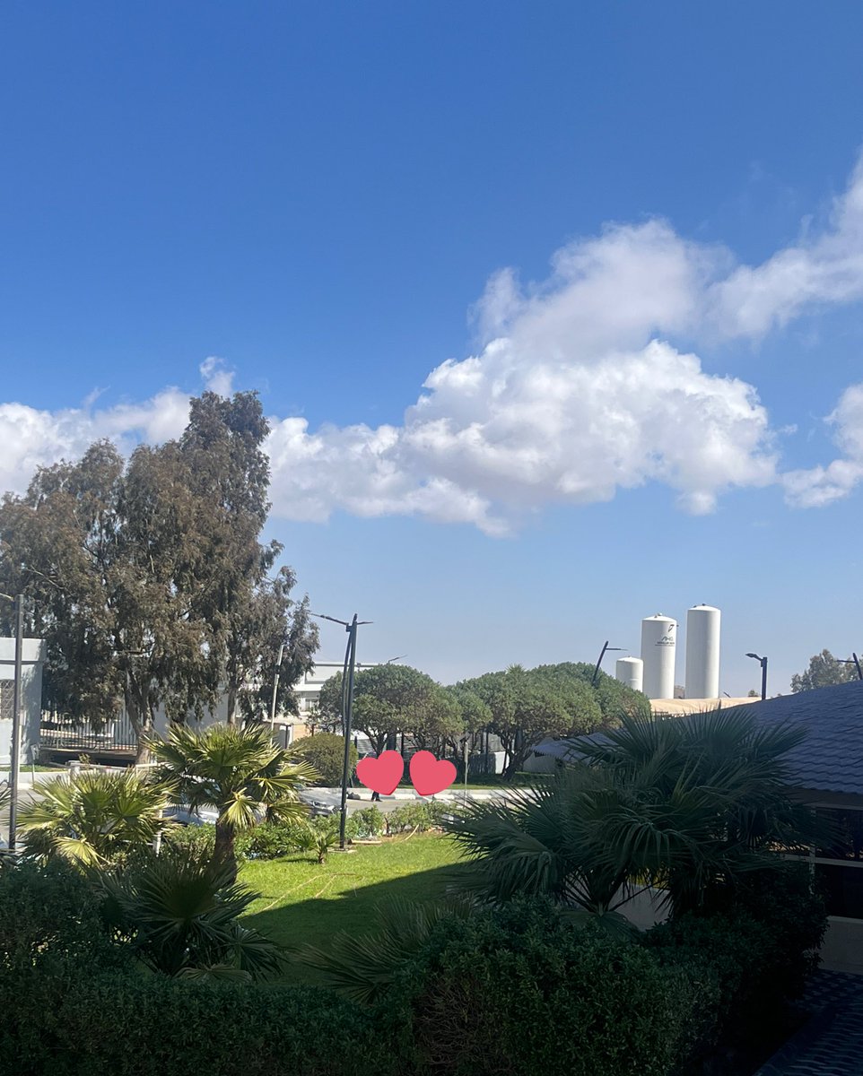 فاديا tweet media