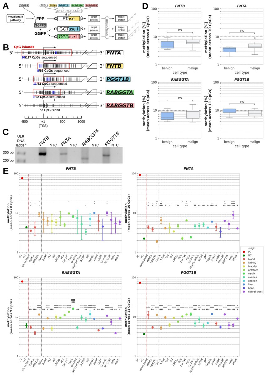Epigenomes MDPI tweet media