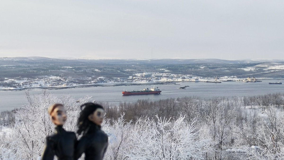 Aldo-n-canp tweet media