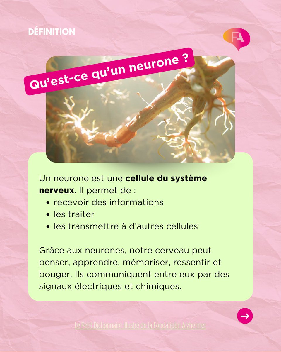 Fondation Alzheimer tweet media