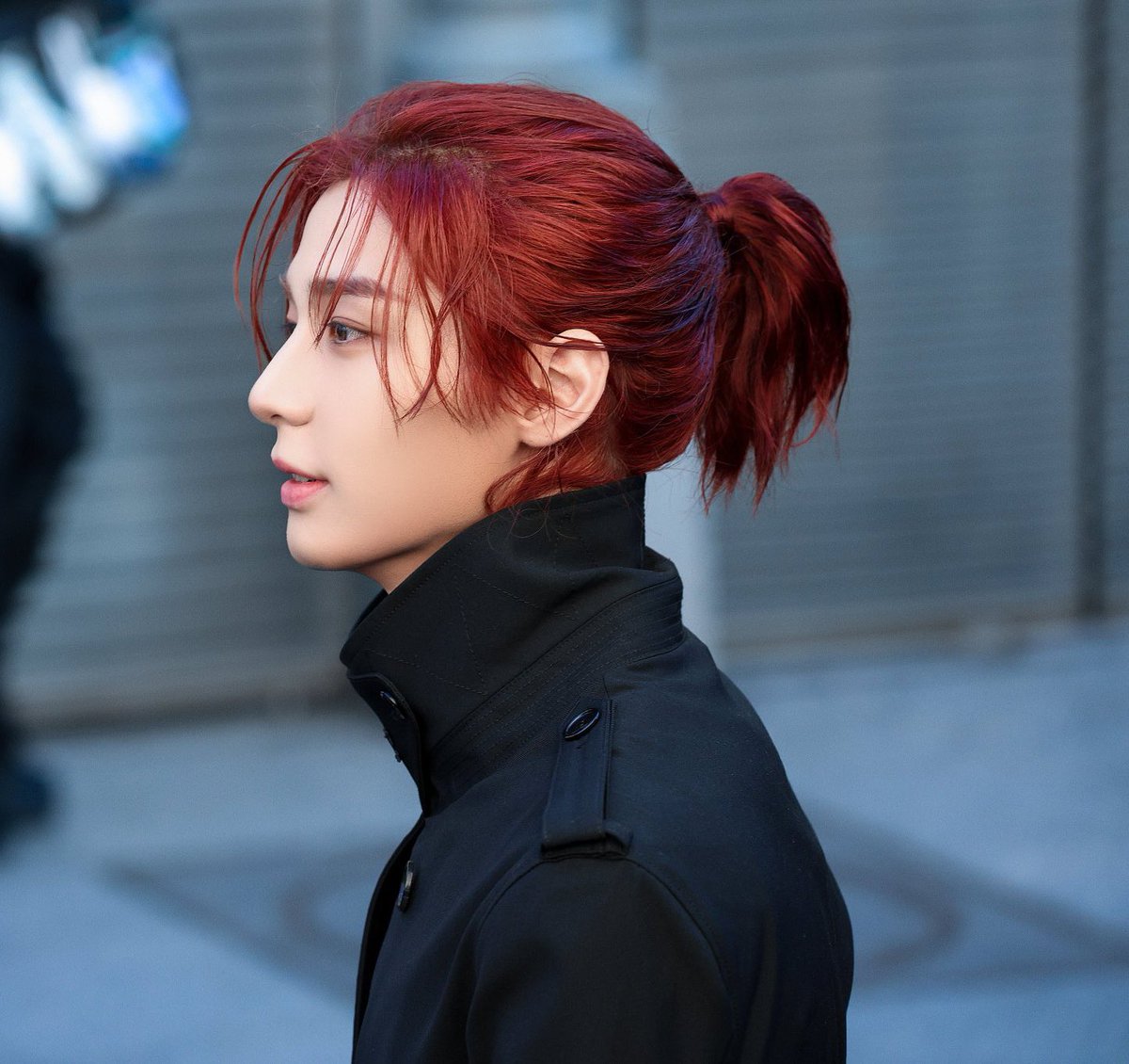 bear .ᐟ tweet media