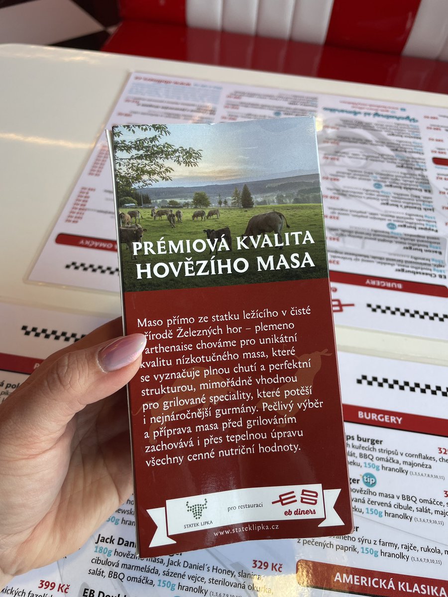 Karla Lhotakova tweet media