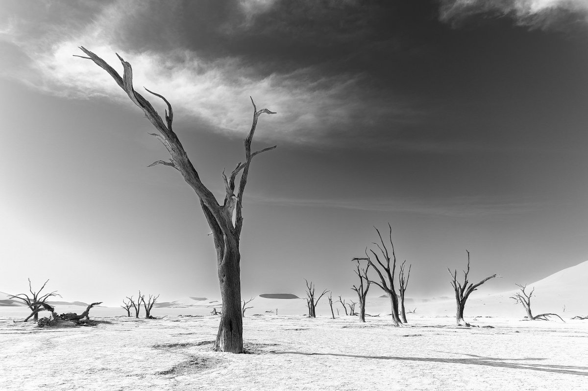 Cornelius Muller tweet media