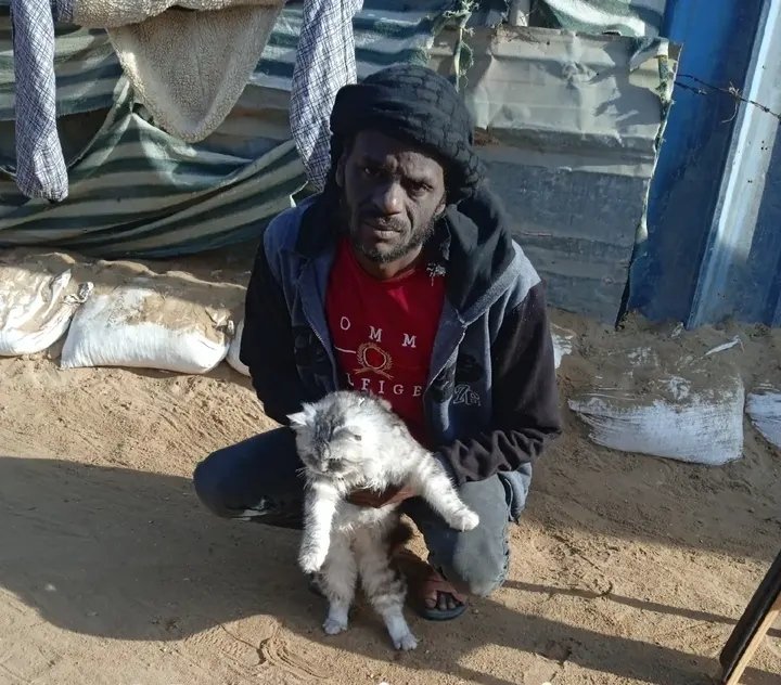 Nour Jamaan from Gaza tweet media