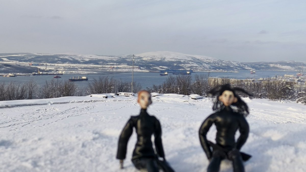 Aldo-n-canp tweet media