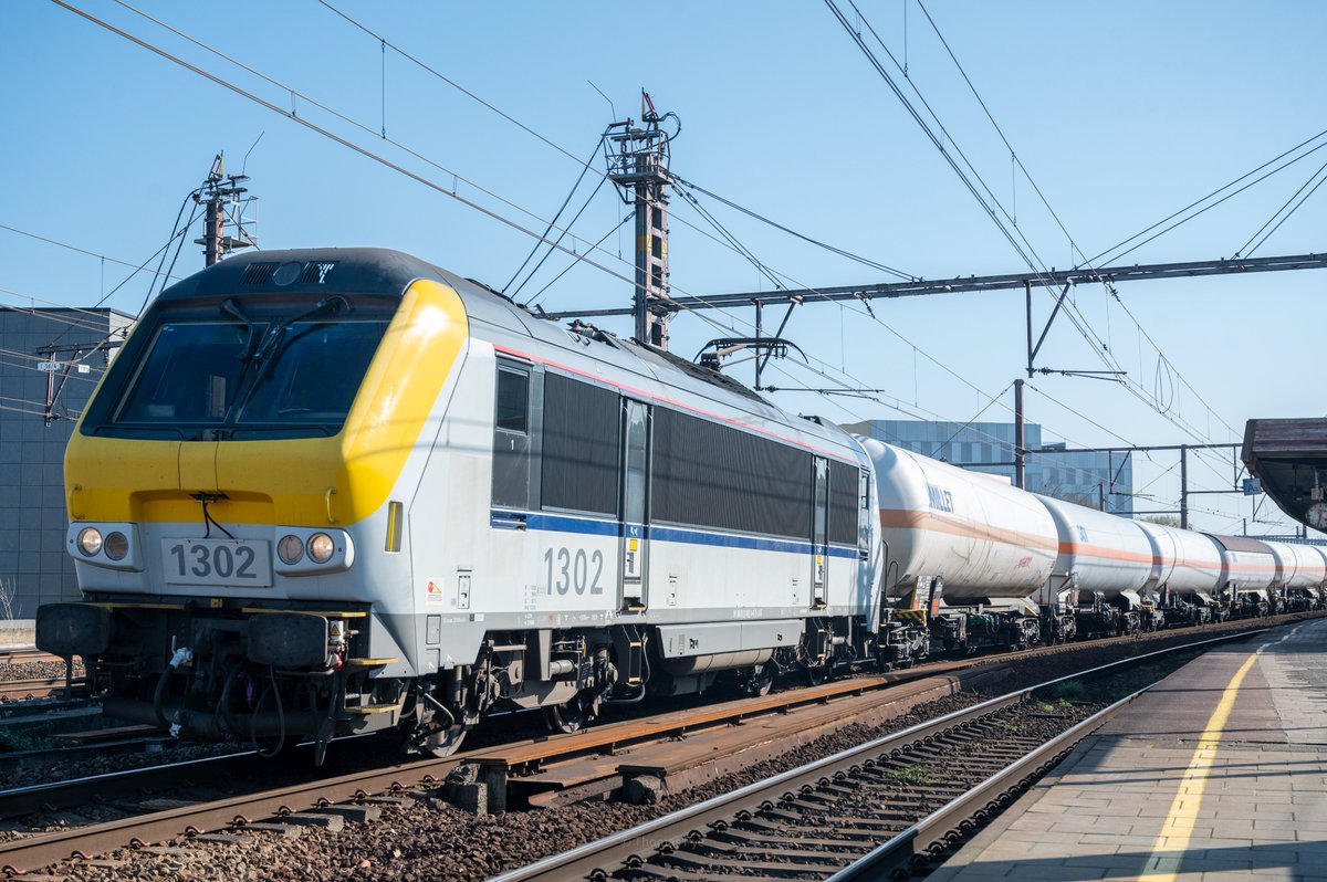 Thomas Pye tweet media