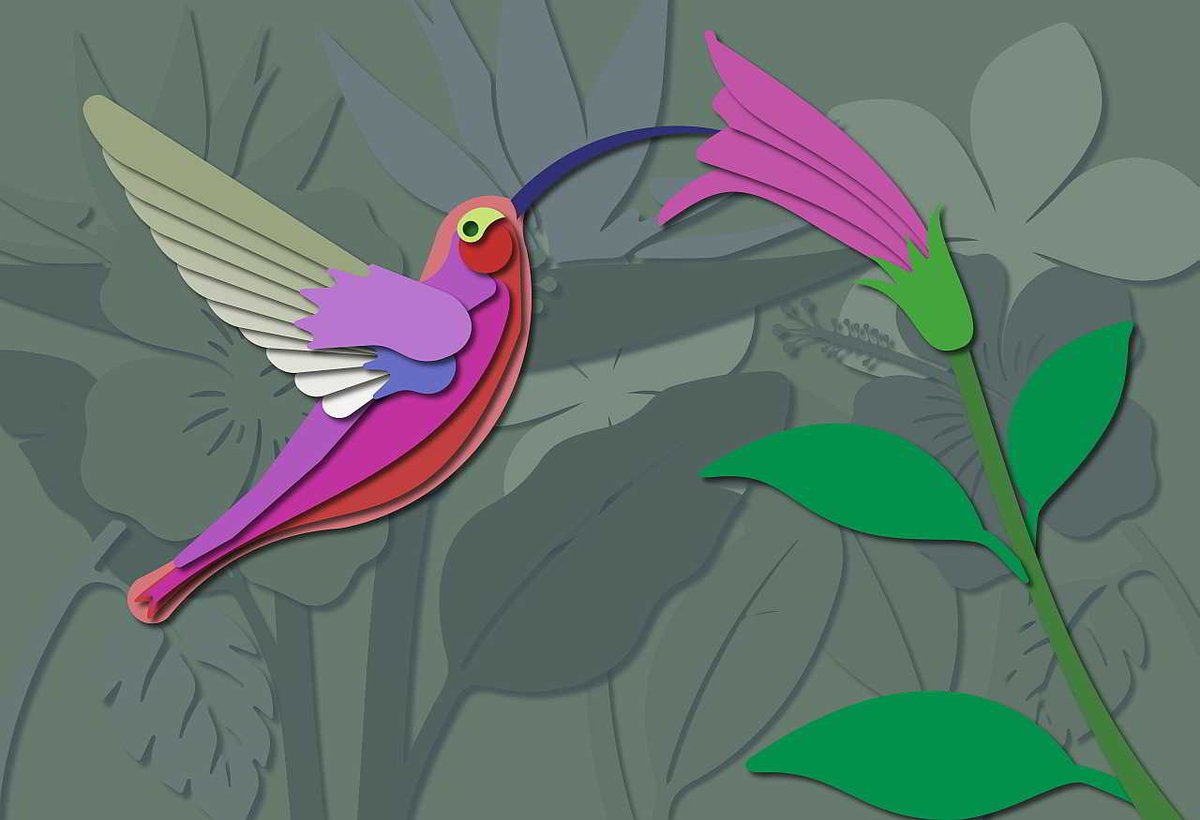 AkiraByOtomo's tweet image. Colibrí, Vector illustration made with Illustrator 

To see more illustrations : imaginisation.com

 #vectorart #vectorillustration #vector #illustration #illustrator