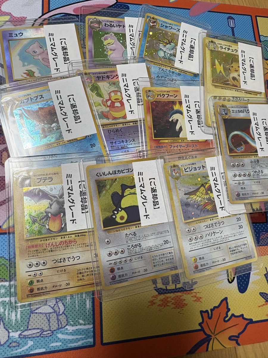 コパンダ tweet media