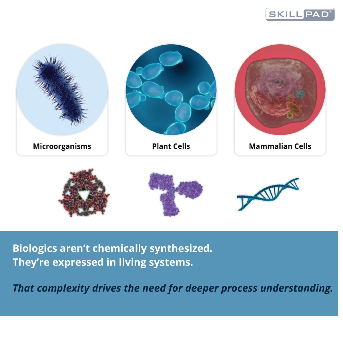 Skillpadcom's tweet photo. #Biopharmaceutical manufacturing starts with science.

Build #biotech capability where it matters.

Explore our Biotechnology for Biopharmaceutical Manufacturing suite at: https://t.co/UnDVBm7STQ

#BiotechManufacturing #GMPTraining #Biologics #CellAndGeneTherapy https://t.co/NK63KLCgmz