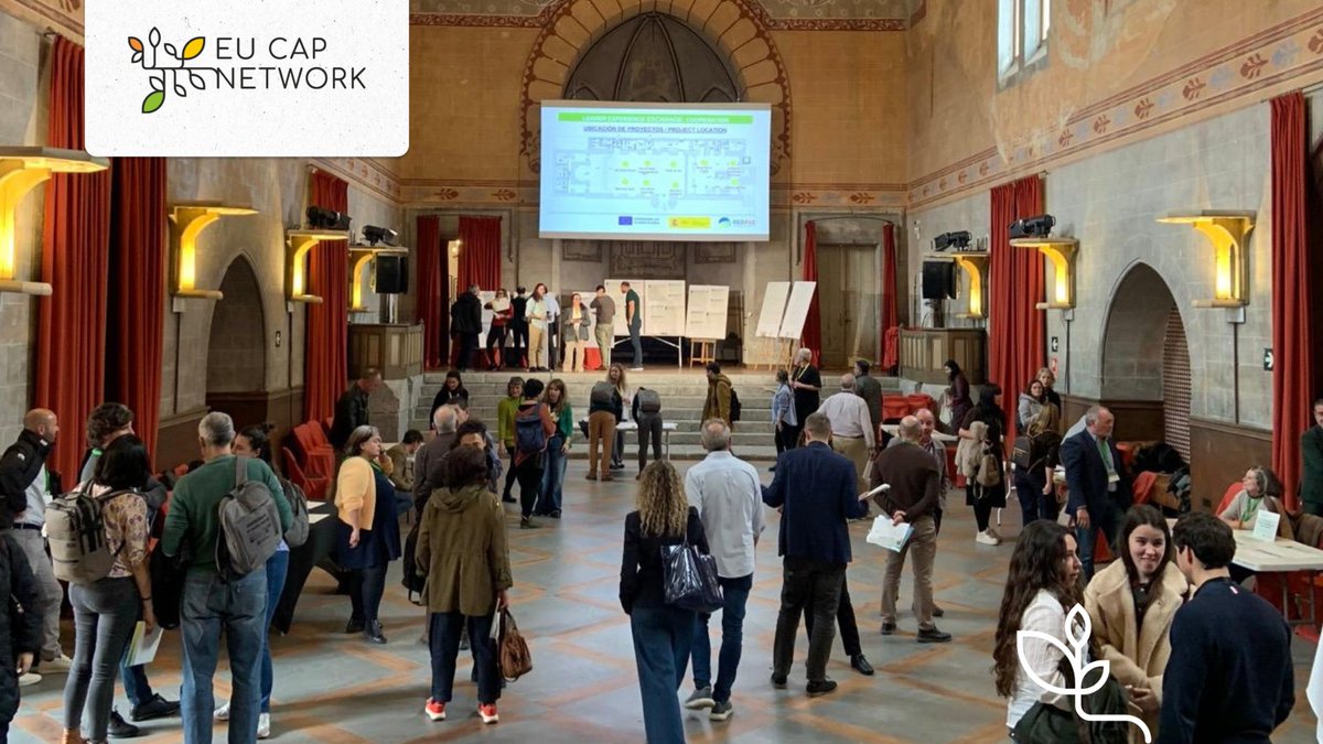 eucapnetwork's tweet photo. EU CAP Network at LEADER Exchange Day Spain ☀️
Red PAC LAGs pitched projects (generational renewal, ecotourism, smart villages). EU CAP Network updated profiles & cooperation offers for EU connections.
💡Pitches
⚡Matchmaking
🙋Voting lab
#RuralVitalSostenible #RedPAC https://t.co/SP6U3erFvf