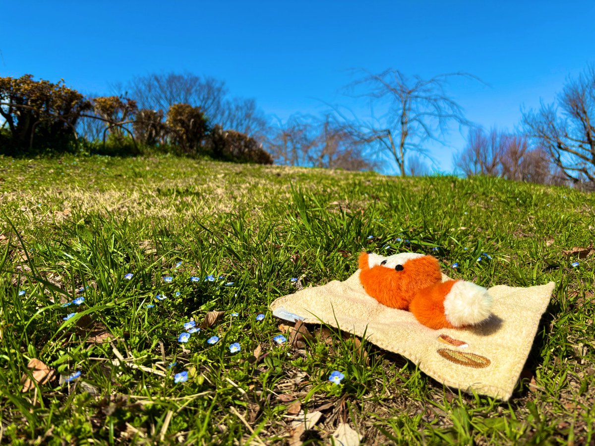 炭水化物委員会。 tweet media