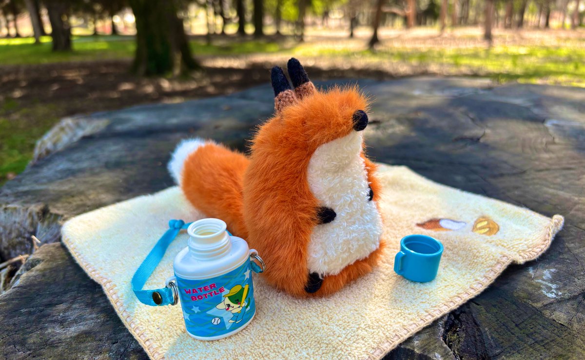 炭水化物委員会。 tweet media