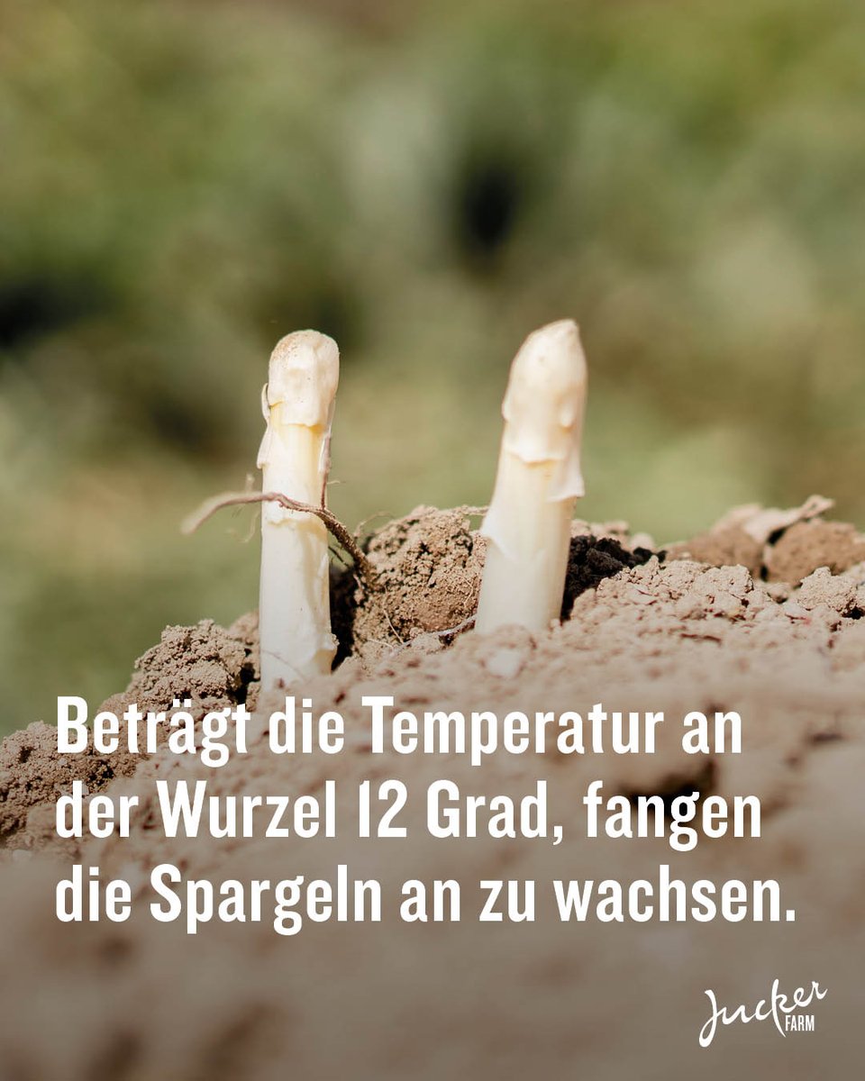 JuckerFarm tweet media