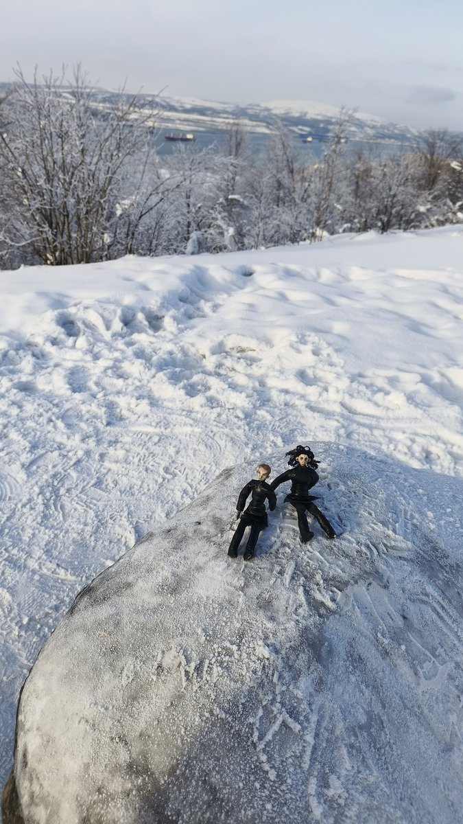 Aldo-n-canp tweet media