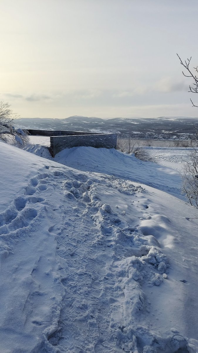 Aldo-n-canp tweet media