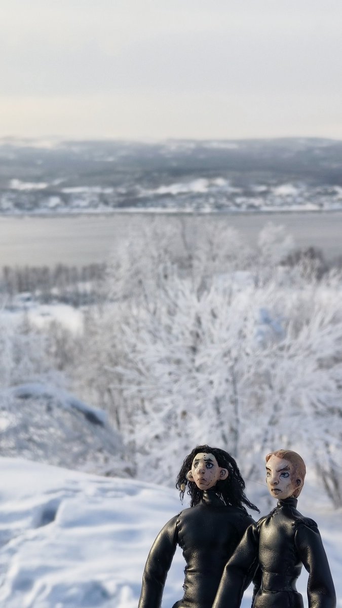 Aldo-n-canp tweet media