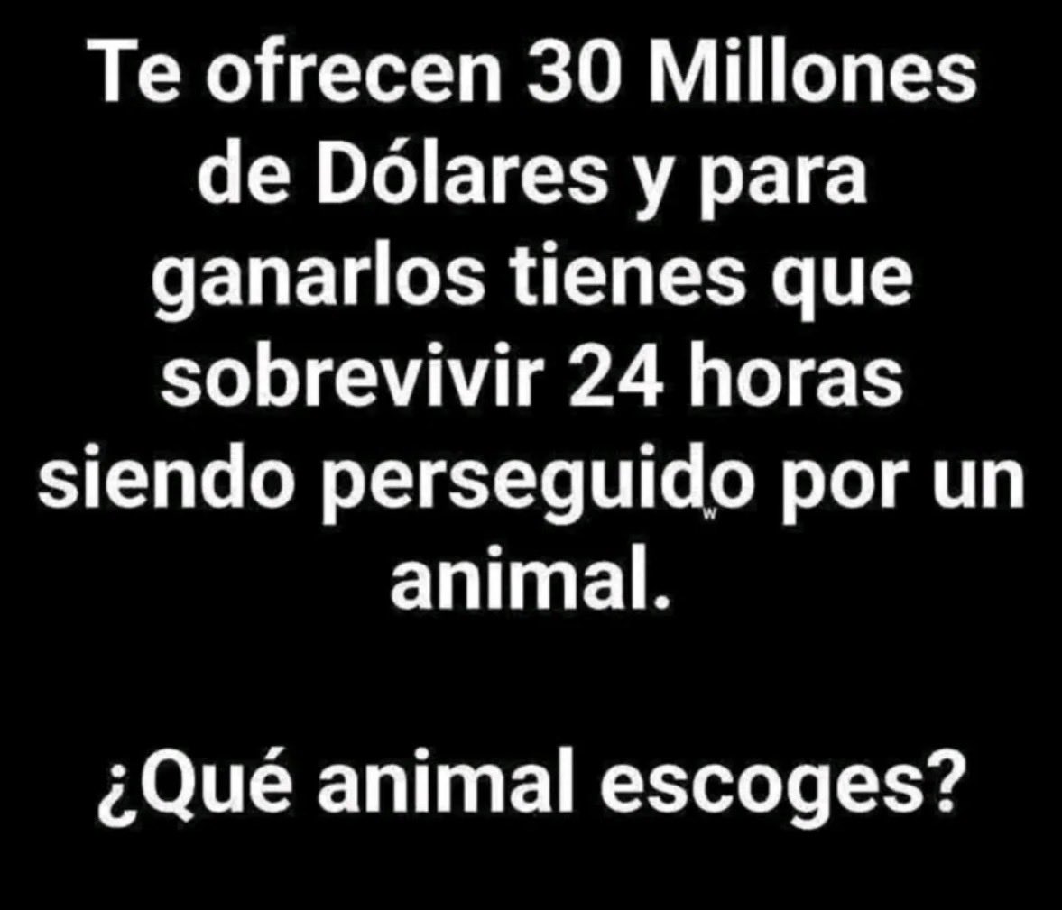 🤔🤔