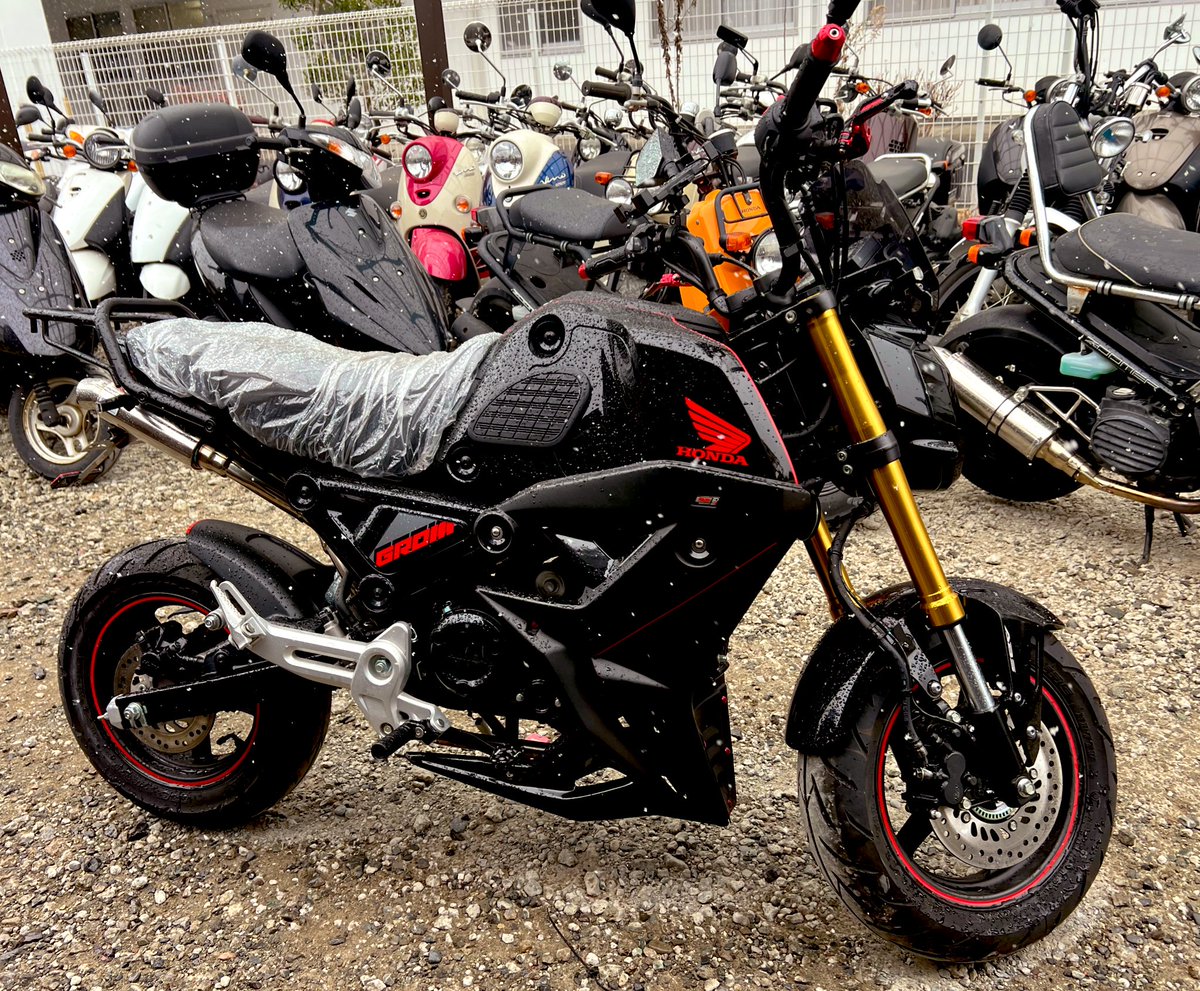 のんべゑ🥃 tweet media