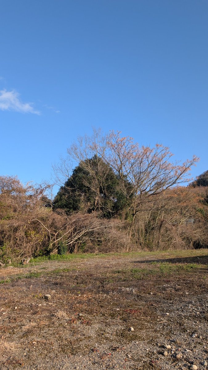 Dogsdailylifech's tweet photo. #空
#空模様
#空が好きな人と繋がりたい
#空の写真
#大崎上島
#GooglePixel9
【撮影機種】
日付︰令和8年3月4日【水曜日】晴れ時々くもり🌤️🌤️現在体調不良の為療養中。明日で休職終わり。 https://t.co/7Ze3FmFiET