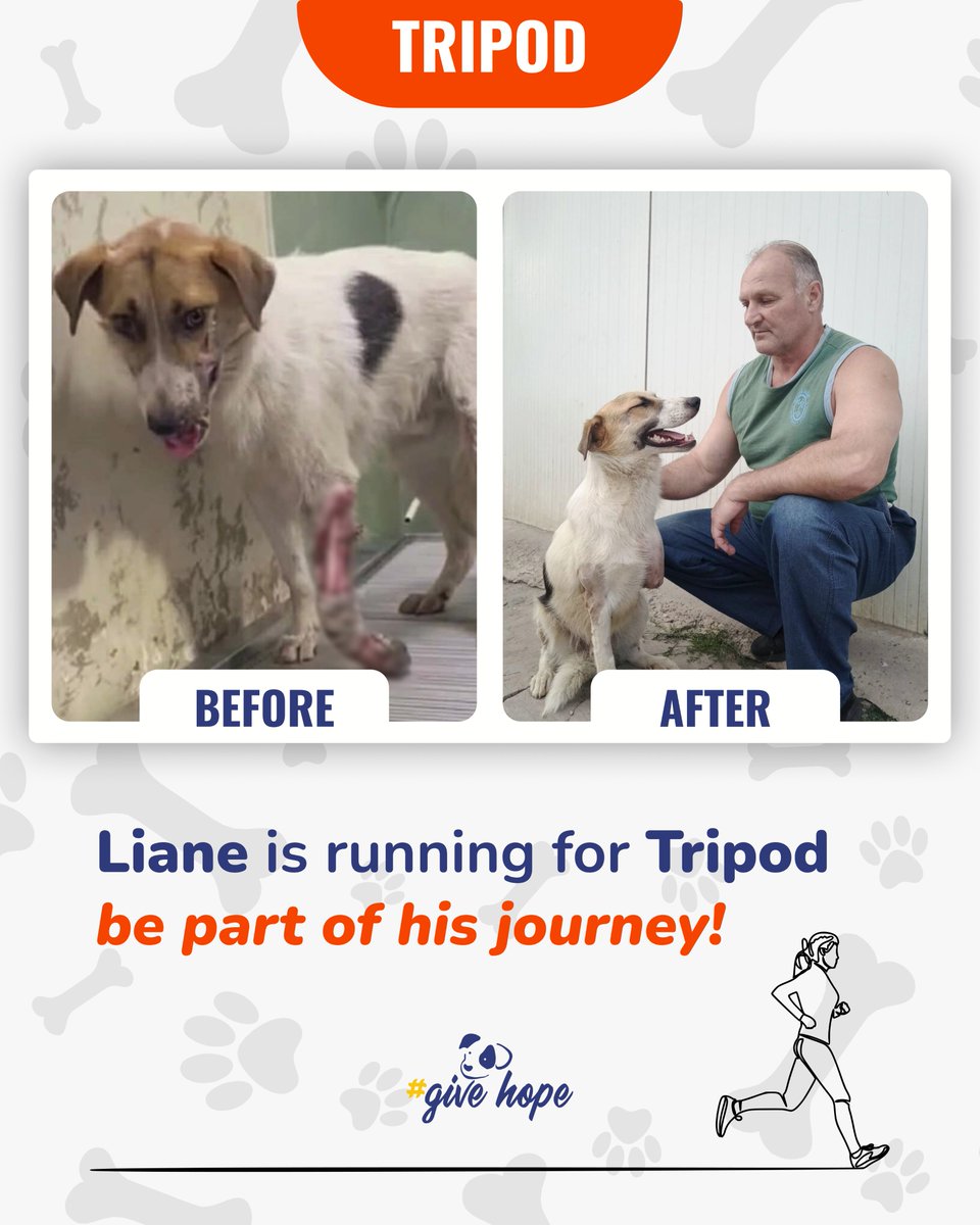 ROLDA Org tweet media