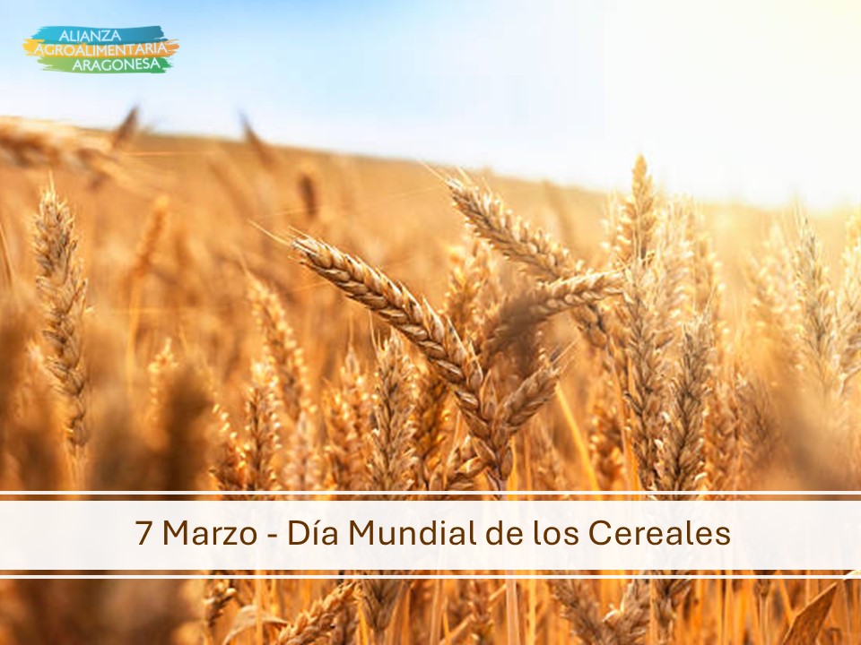 Alianza Agr. Aragón tweet media