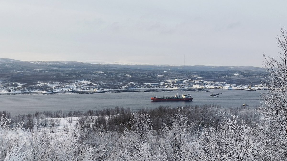 Aldo-n-canp tweet media