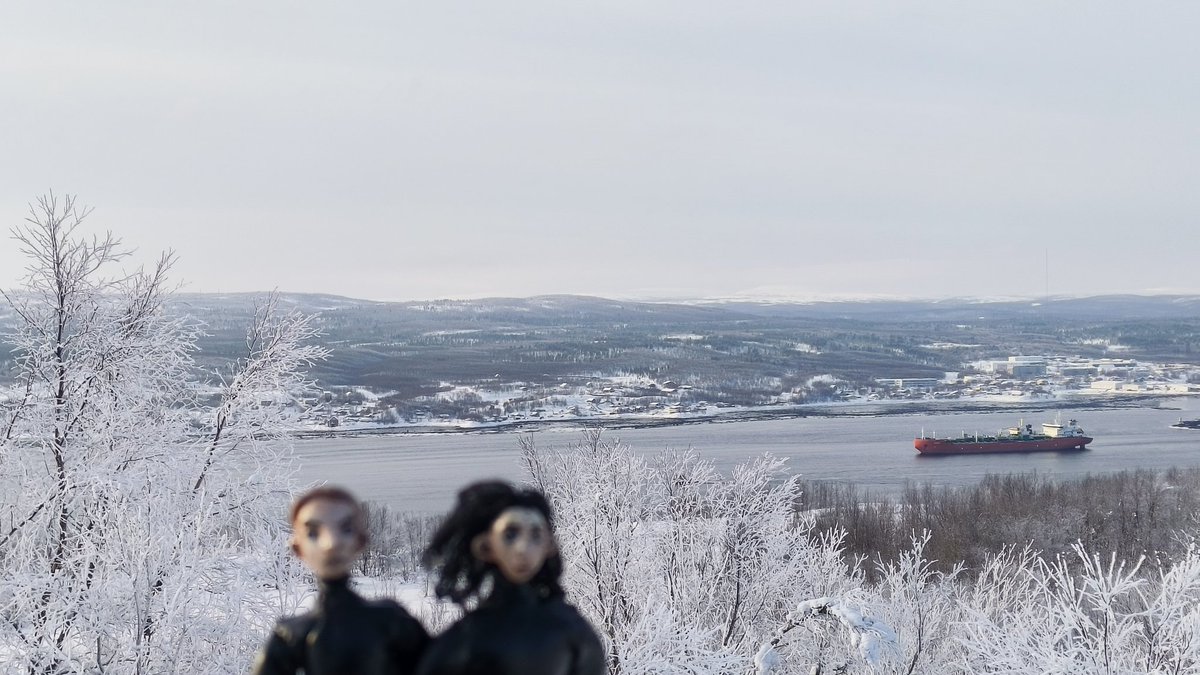 Aldo-n-canp tweet media