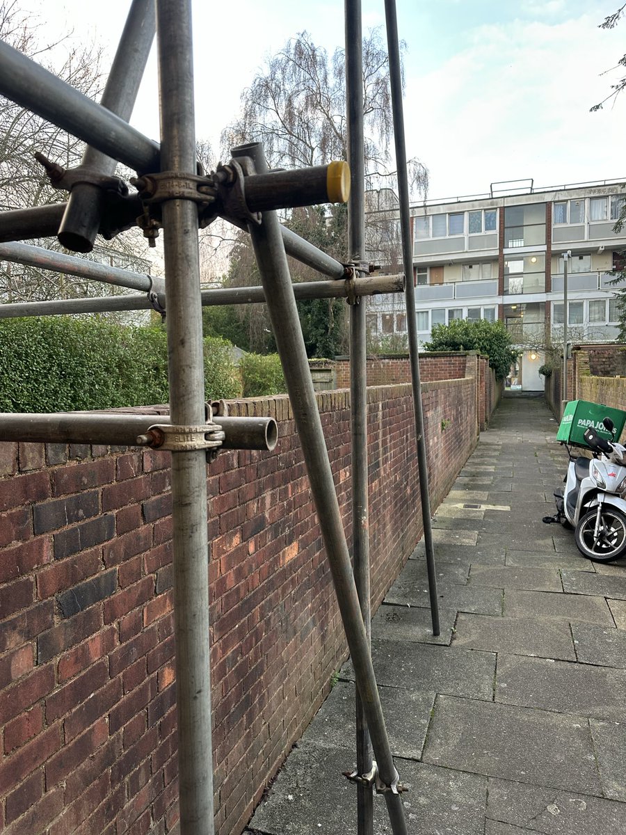 Alton Regen Watch tweet media