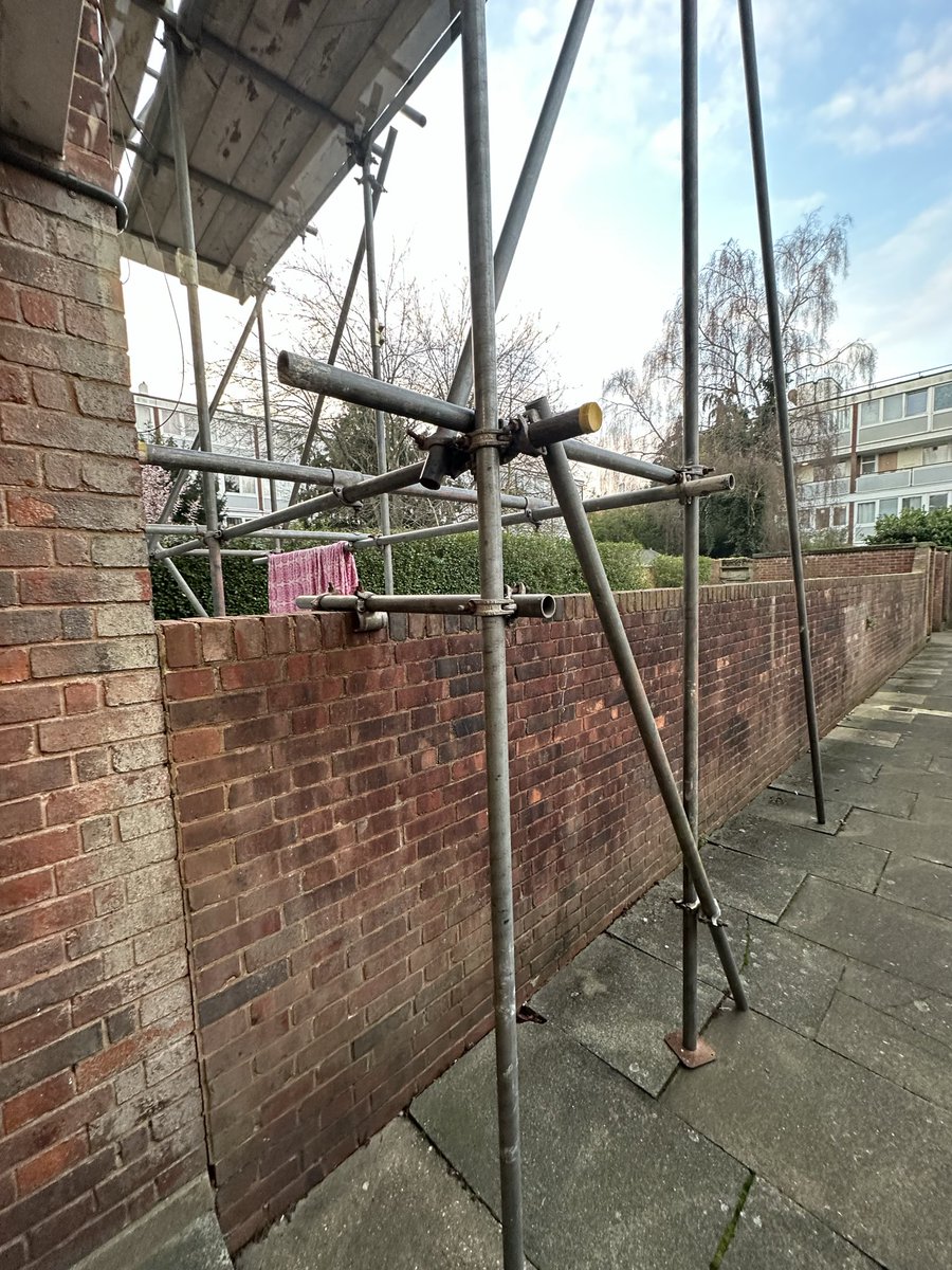 Alton Regen Watch tweet media