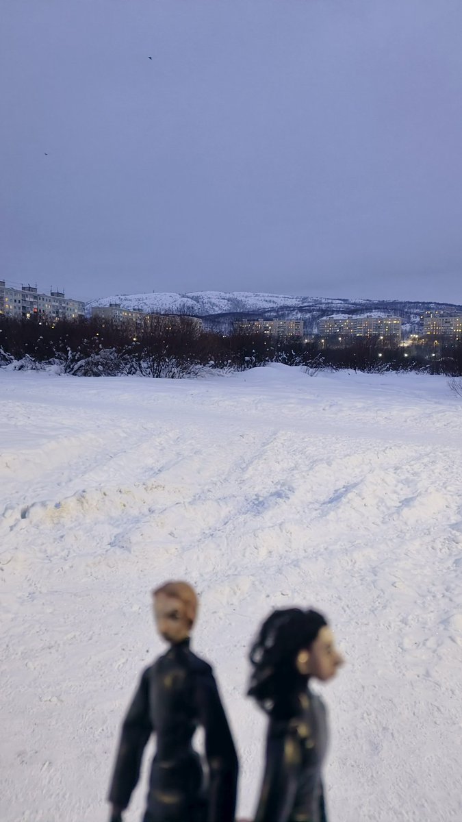 Aldo-n-canp tweet media