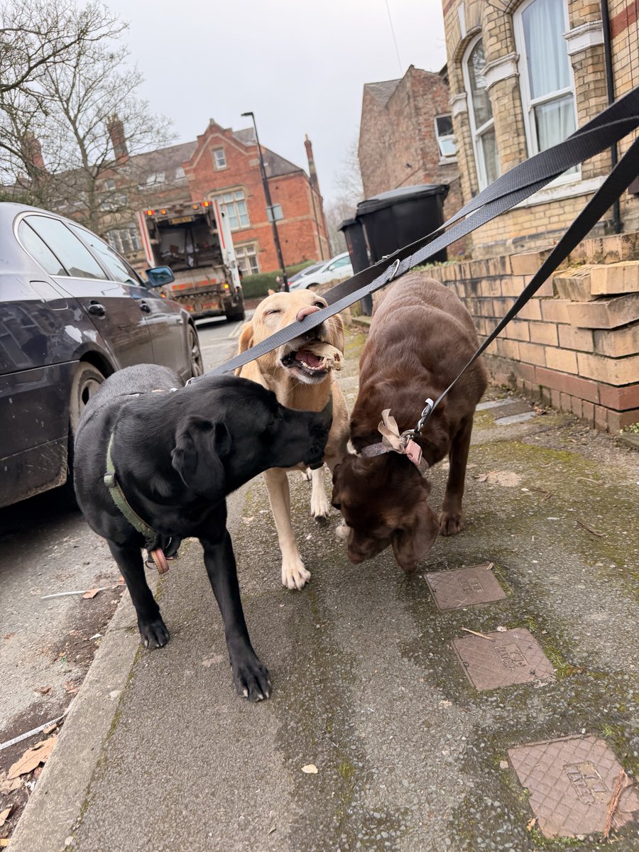 I don’t know who lost their lunch today BUT I SURE KNOW WHO FOUND IT!!!! 💛💛💛🕺