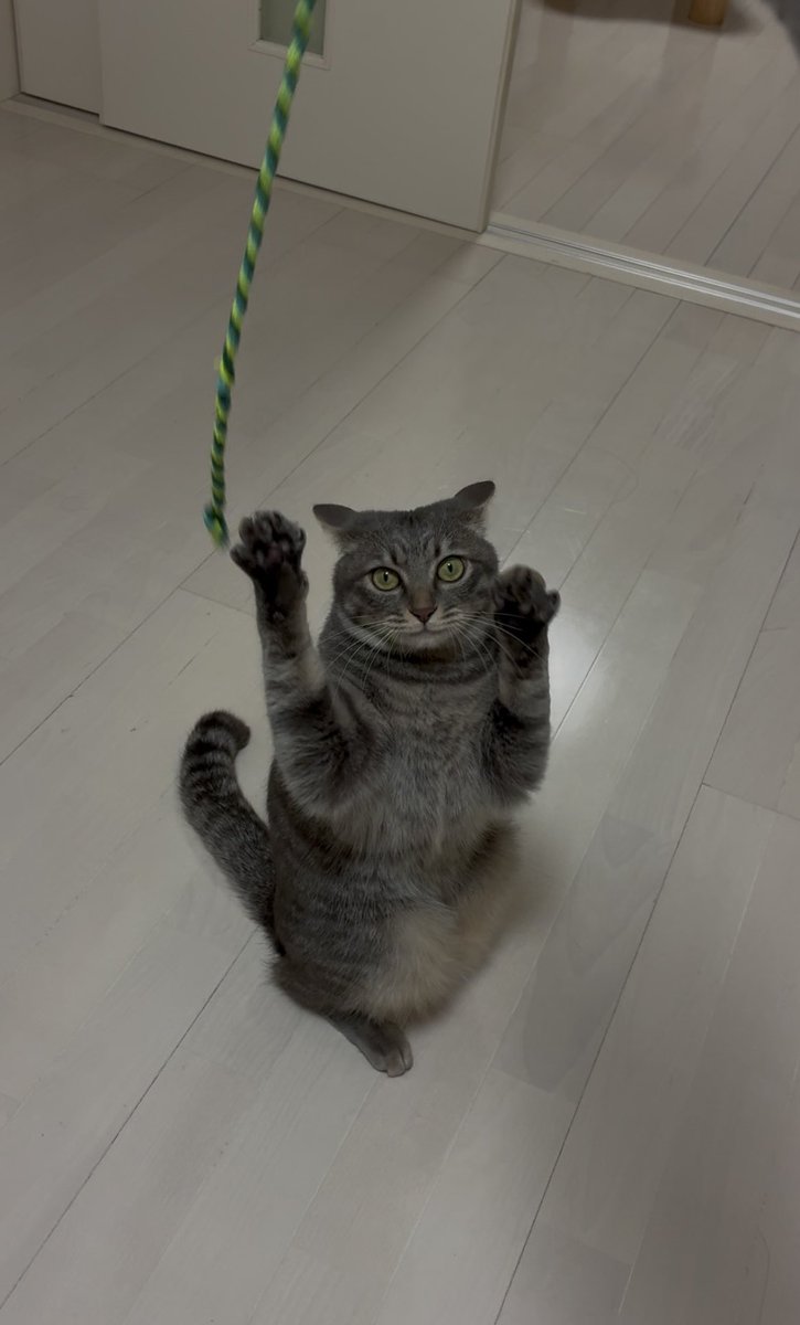 ﾋ ﾋﾞｷ tweet media