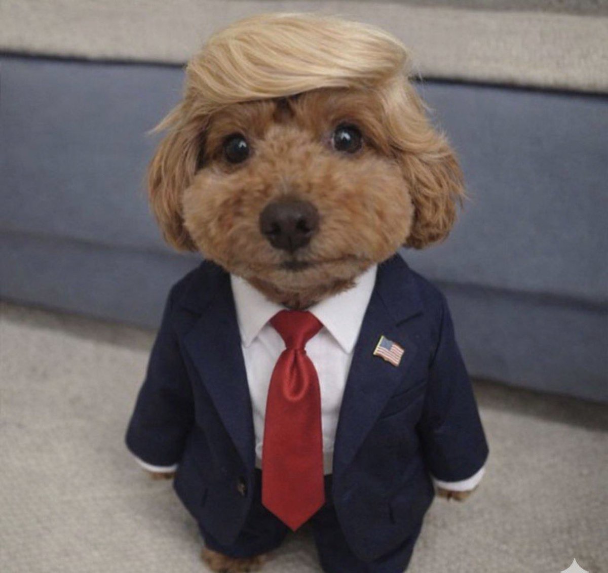 Lore guy tweet media