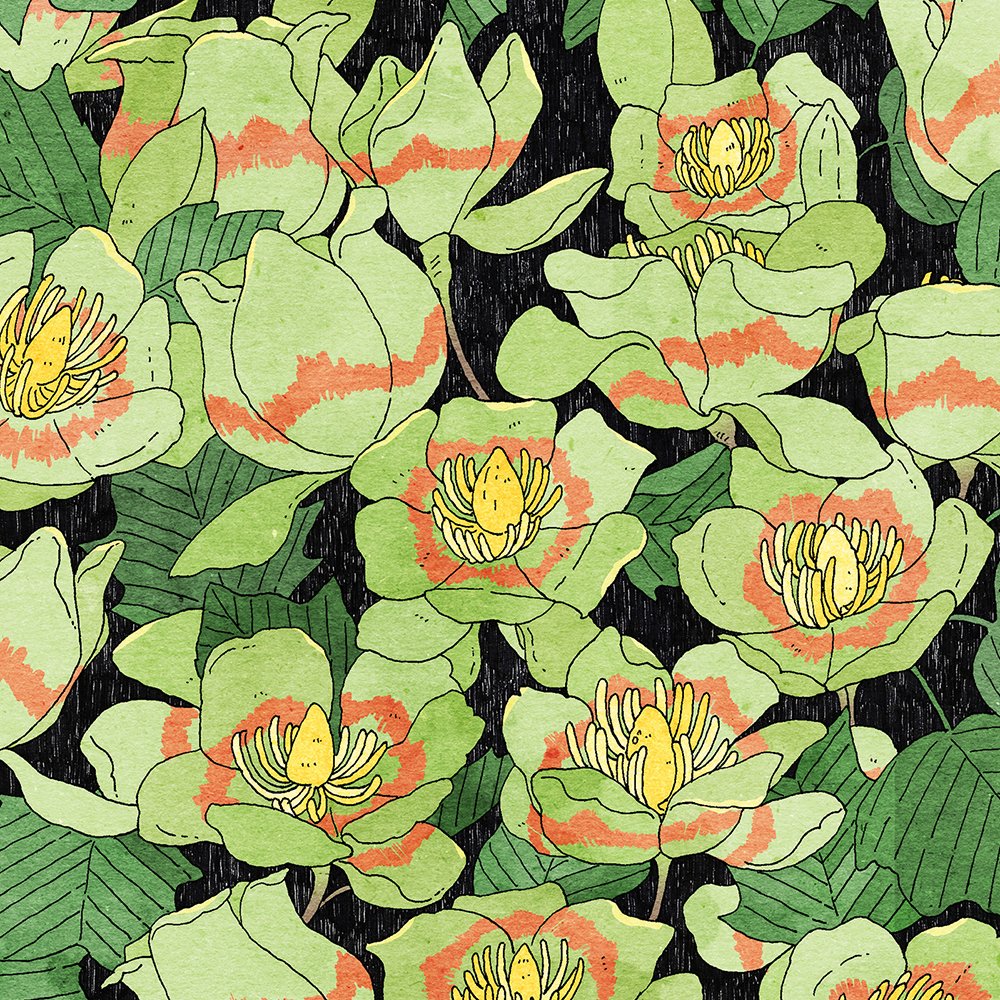 다미🌿 tweet media