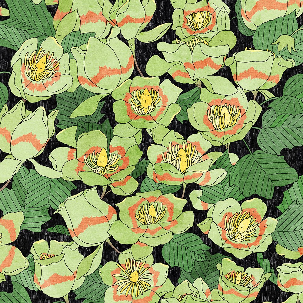 다미🌿 tweet media